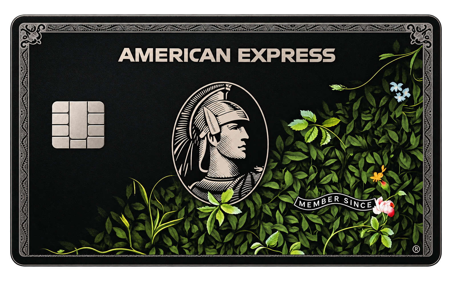 AirCard Apple Wallet Card Customization